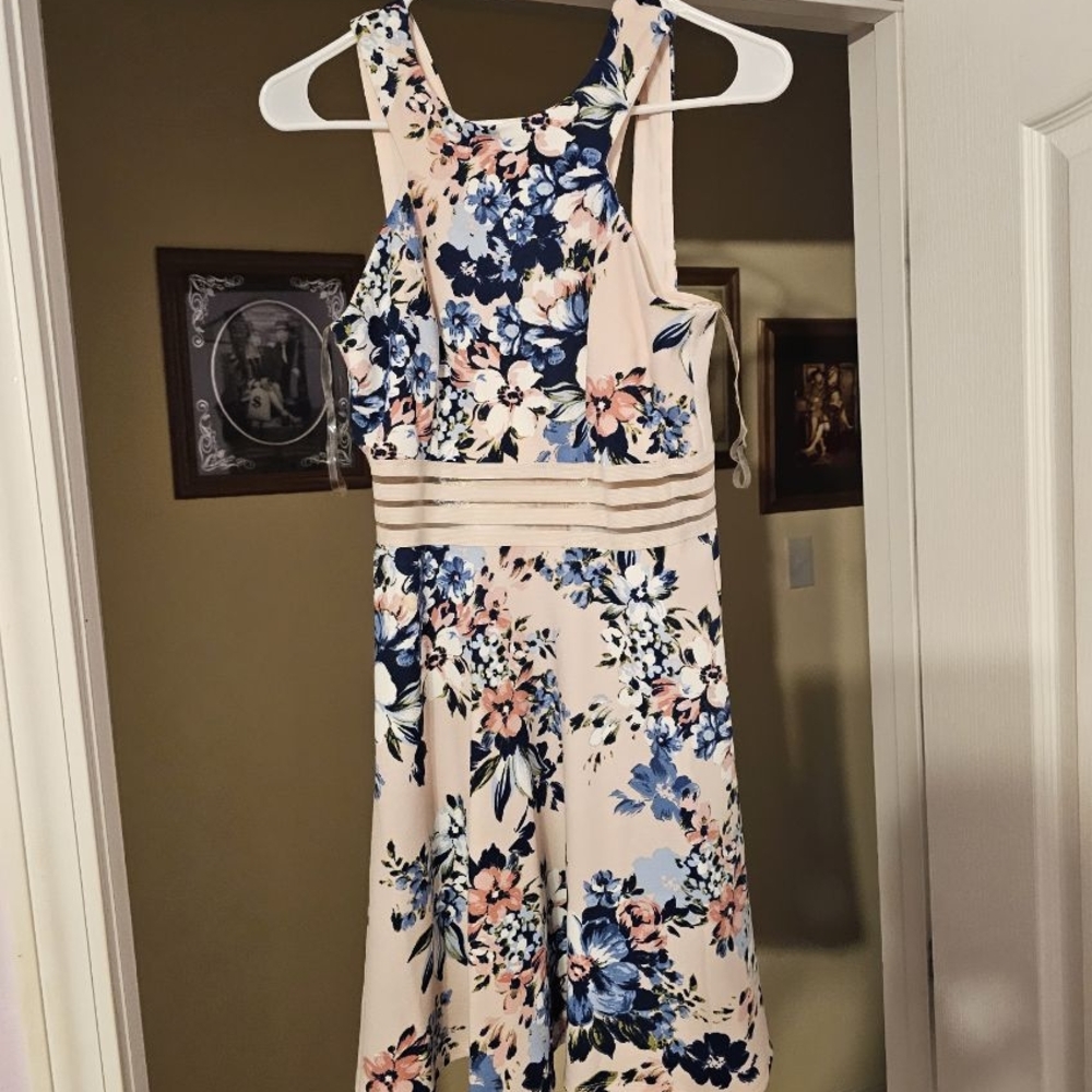 Floral Sleeveless Dress - Pink and Blue